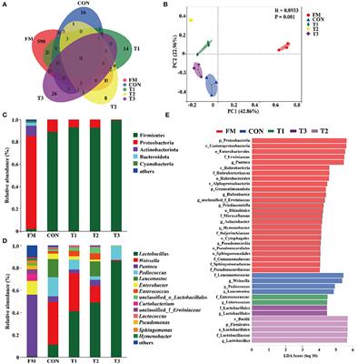 Evaluating the fermentation characteristics, bacterial community, and predicted functional profiles of native grass ensiled with different additives